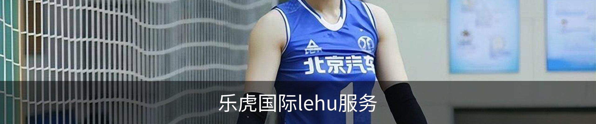 乐虎国际lehu服务